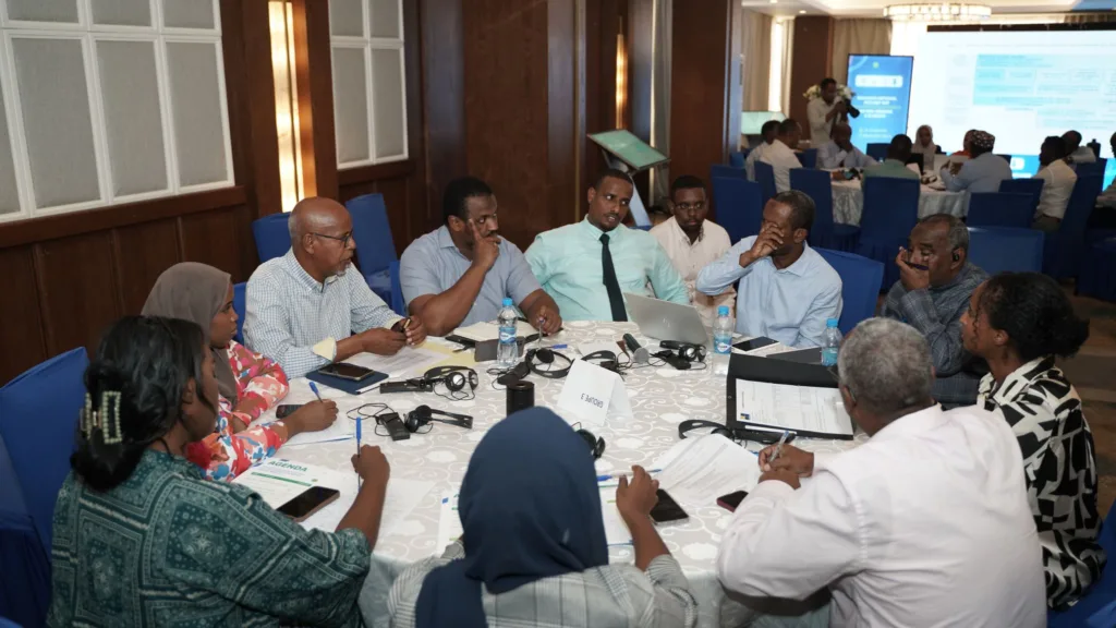 UNDP, MERN and MEDD Host a National Dialogue in Djibouti on Rural Electrification by Minigrids