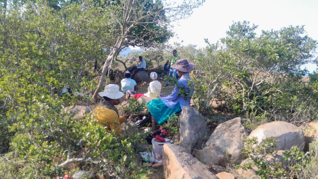 Driving Change in Eswatini: Promoting Sustainable Environmental Practices Through Community-Based Education