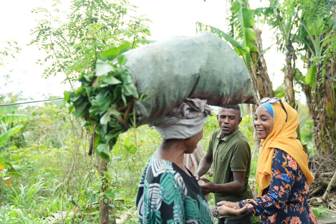 Empowering Rural Comoros: How Minigrids Will Bring Electricity and Economic Growth