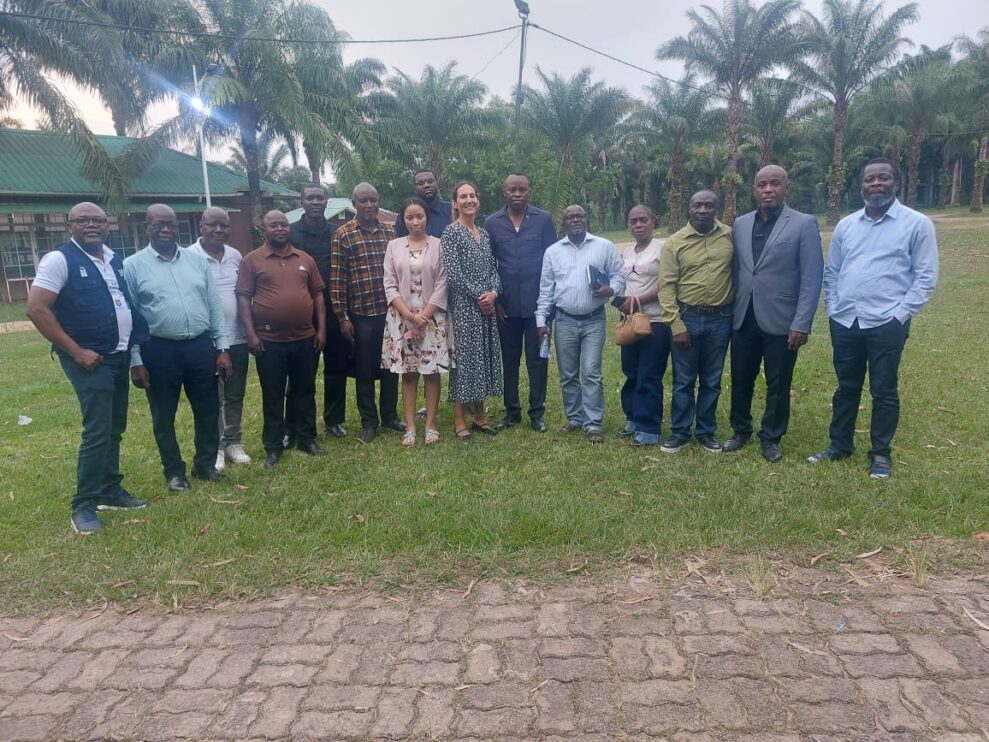 AMP DRC Launches First DREI Lab Pilot Module to Advance Minigrid Investments